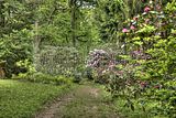 tannenfeld-sommer 2012-076